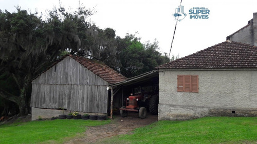 Sítio A Venda No Bairro Centro Em Arroio Do Padre - Rs. - 1604-1