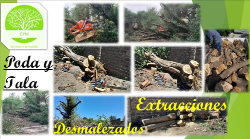 Poda De Árboles - Extracciones - Desmalezados