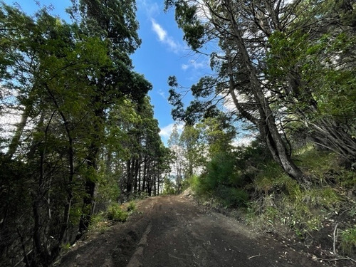 Imagen 16 de 18 de Lotes En Venta En Alihuen Alto, San Martin De Los Andes