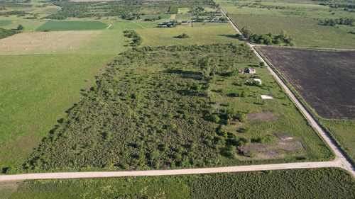 Imagen 13 de 20 de Campo - Colón