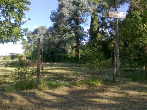 Venta, Terreno, 1 Hectarea, Villa Dominico, Florencio Varela
