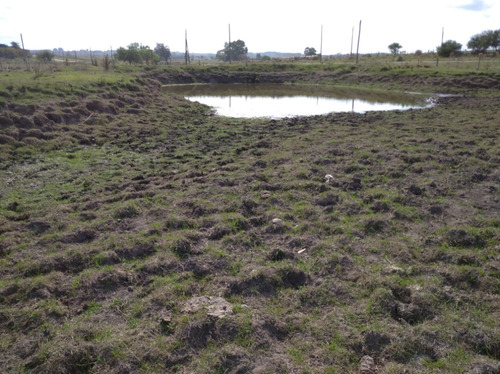 Campo Con Casa A 90 Km De Montevideo