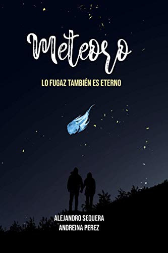 Meteoro: Lo Fugaz También Es Eterno, De Andreina Perez. Editorial No Aplica, Tapa Dura En Español