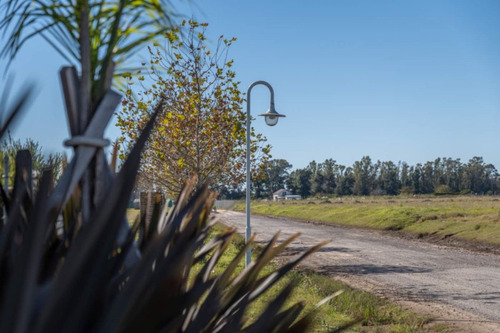 Lote De 620m2 Barrio Santa Isabel Iii - Maschwitz