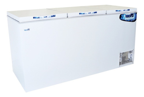 Imagen 1 de 1 de Freezer horizontal Teora FH1000 blanco 1050L 220V 