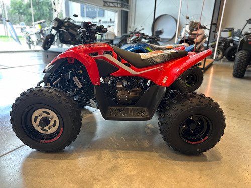 Cuatriciclo Cf Moto Cforce 110 Entrega Inmediata Sanzari
