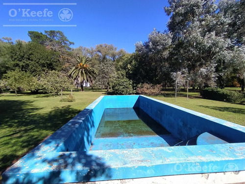 Imagen 9 de 25 de Campo De 705 Has En Venta En Necochea - Mixto Con Casco - 70 % Agricola.