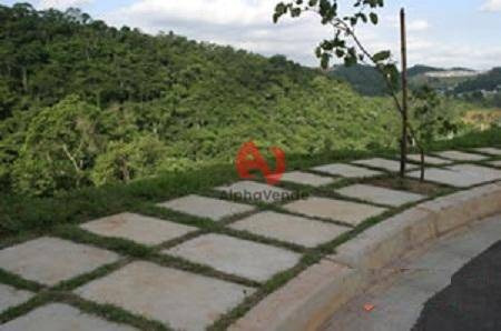 Imagem 27 de 27 de Endana De Parnaíba - Ca5982. - Ca5982