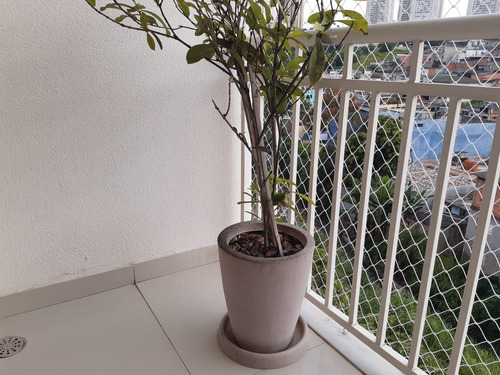 Imagem 7 de 30 de Apartamento Impecável Em Vila Sônia