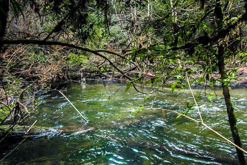 1 Hectárea Con Río Y Bosque | Tinquilco - Huerquehue - Pucón