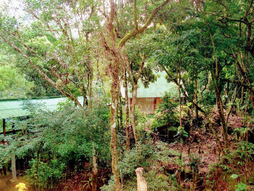 Imagem 5 de 25 de Sítio À Venda No Bairro Laeiz - José Boiteux/sc - 2025