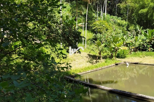 Imagem 14 de 14 de Sítio Em Miracatu À Venda Com 03 Quartos - Ch132 R