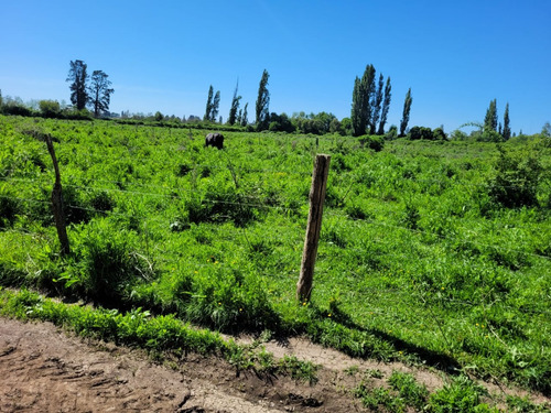Terreno De 2,5 Há, En Cuñibal, Cercano A Los Ángeles