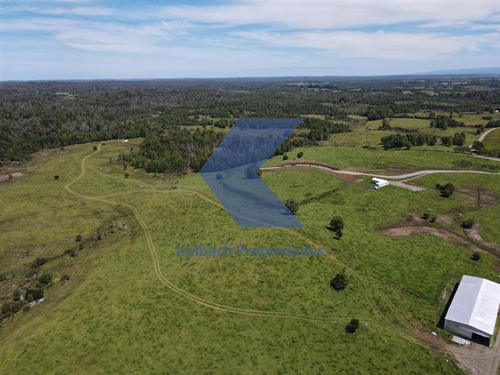 Lindo Terreno En Venta En Chiloé 