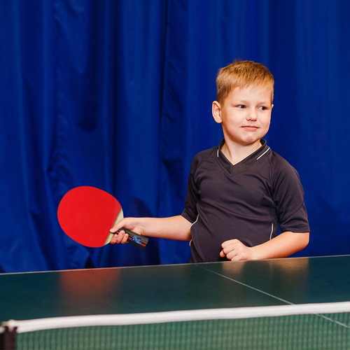 Kit De Paletas Ping Pong Mango Corto Con Pelotas