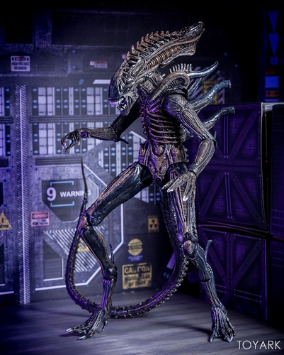 Imagen 7 de 7 de Figura Neca Comic Alien Defiance Dark Horse