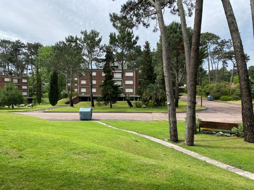 Imagen 9 de 9 de Departamento - Playa Mansa