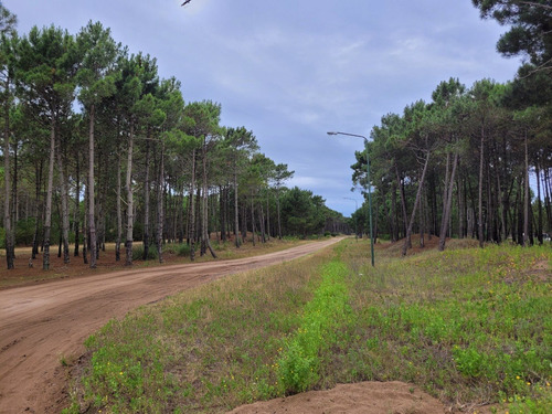Imagen 6 de 12 de Departamento Premium En Venta En Pinamar Norte - The Kalem 2 - Preventa De Pozo