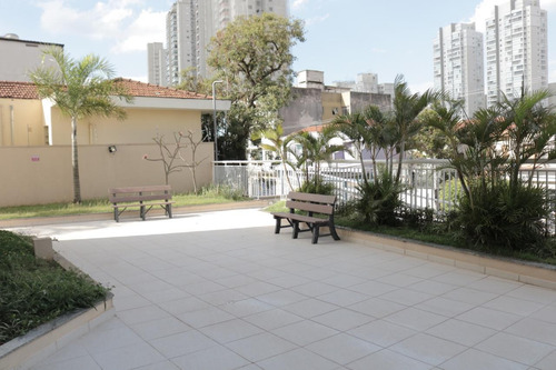 Imagem 25 de 30 de Apartamento Para Locação, Tatuapé, São Paulo. - Sp - Ap0492_fsi