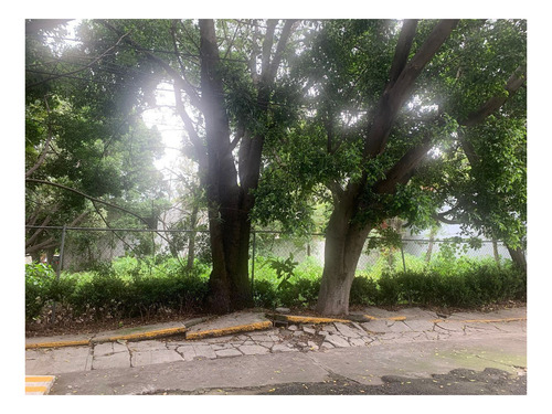 Imagen 3 de 4 de Terreno En Esquina Col. Florida