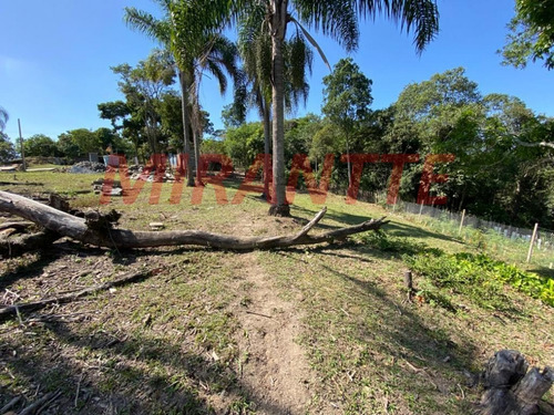 Imagem 4 de 18 de Terreno Em São Vicente - Mairiporã, Sp - 371687