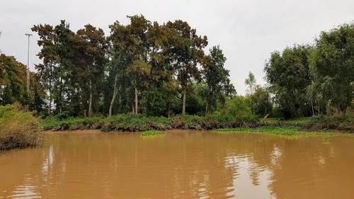 Imagen 7 de 30 de Lote Venta 2da Sección Delta Islas Sobre Paraná De L. Palma