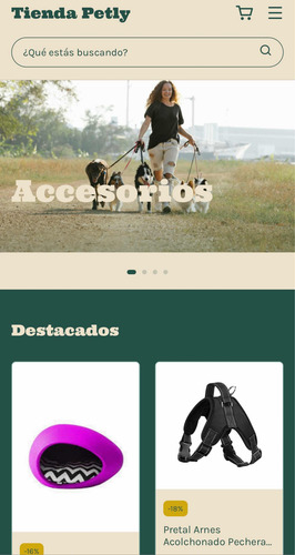 Creación Y Diseño De Páginas Web