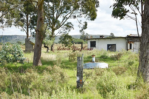 Imagen 10 de 12 de Venta Chacra En San Carlos, Ruta 9