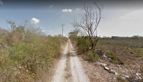 Imagen 8 de 9 de Terreno De 1 Hectárea En Venta En Conkal Merida. Gran Oportunidad!