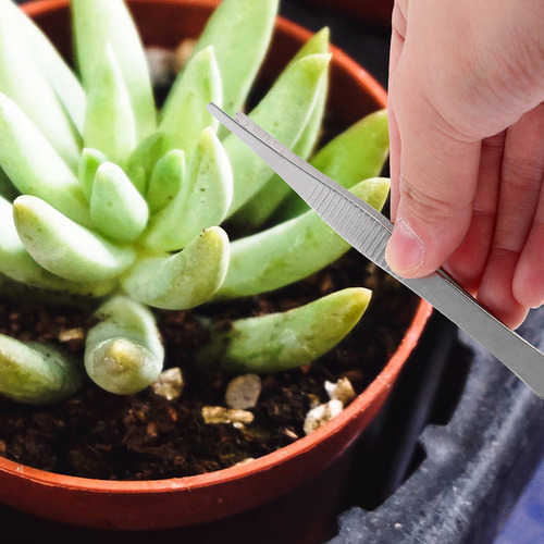 Pinzas De Acero Inoxidable Para Jardinería, Suculentas, 4 Un