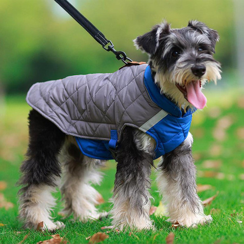 Chaleco De Invierno Para Perros, Abrigo Ligero A Gris Azul