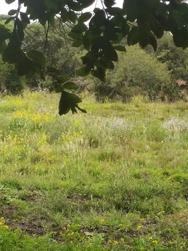 Venpermuto Terreno En Sibaté, Alto Charco