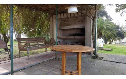 Imagen 7 de 30 de Campo De 59 Has Sobre Ruta, Con Casco, Casa De Invitados, Galpones Y Dependencias