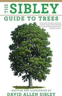 The Sibley Guide To Trees - David Allen Sibley