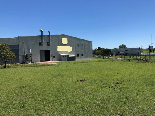Excelentes Naves Sobre Ruta 5 Próximo A La Uam!