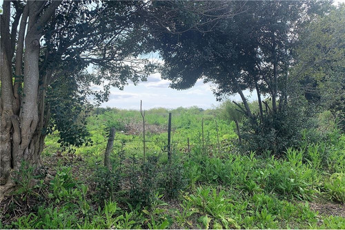 Imagen 5 de 15 de Hectareas Venta En Villa Elisa, Ideal Ley Habitat