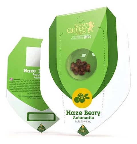 Haze Berry X3 - Automaticas