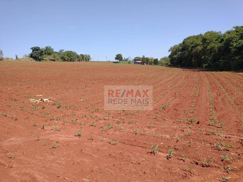 Sítio À Venda, 6 Alqueires Por R$ 1.200.000 - Quadra/sp - Si0013