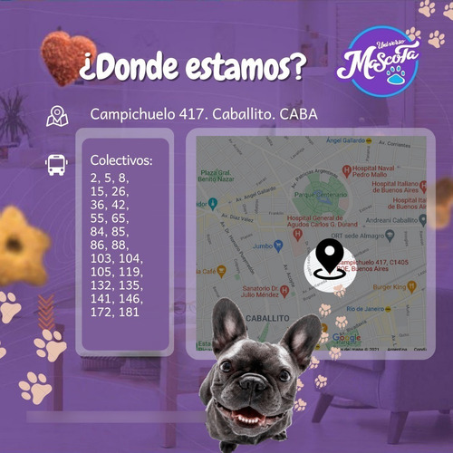 Golocan Palitos De Pollo Horneado Para Perro X 450gr