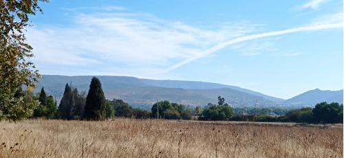 Imagen 22 de 26 de Terreno En Venta Para Inversionistas En La Localidad De Jofrito En Querètaro.