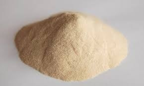 Peptona De Caseina Fco. 100 Gr.