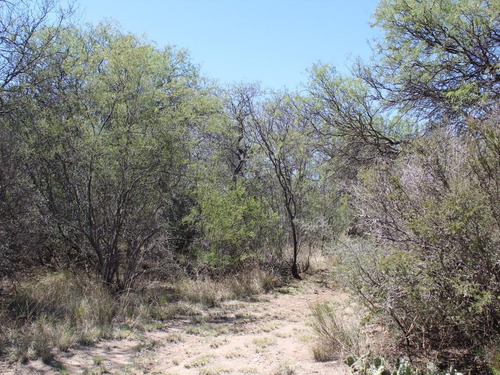 Imagen 6 de 14 de Venta De Campo En Villa Larca Sobre Ruta 6