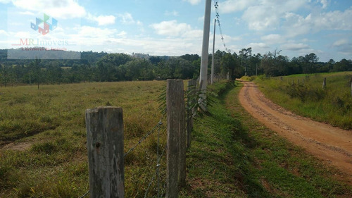 Sítio À Venda Região De Itapetininga Sp - 419
