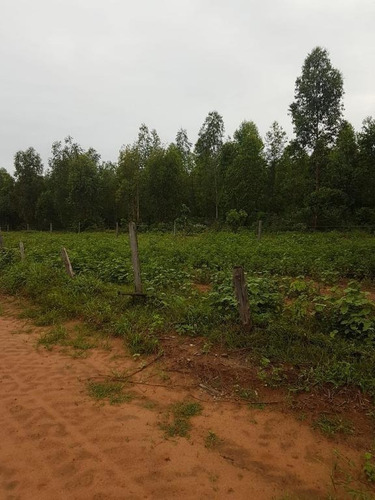 Fazenda À Venda, 63000000 M² Por R$ 37.800.000,00 - Zona Rural - São Romão/mg - Fa0192