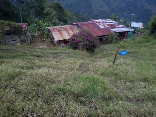 Se Vende Finca En Pijao Quindío 