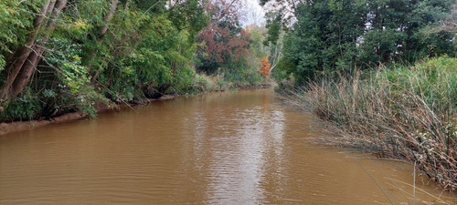 Imagen 8 de 29 de Oportunidad Liquido Lote Isla Delta San Fernando