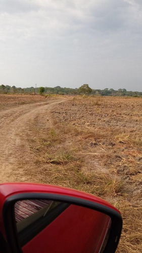 Imagem 10 de 13 de Fazenda 10600 Hectares, Acesso Asfaltado, Rica Em Água Com Lago, Planta 6000 Hectares, Topografia Plana, Casas Sede E Caseiro, Curral, Barracão - Fa00252 - 70762252
