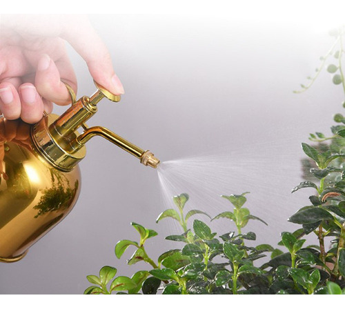 Para Gtx Regadera De Acero Inoxidable Para Regar Plantas Y