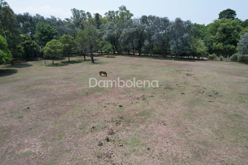 Imagen 24 de 30 de Terreno Lote En Venta O Permuta Ubicado En Colectora Acceso Oeste - General Rodríguez, G.b.a. Zona Oeste