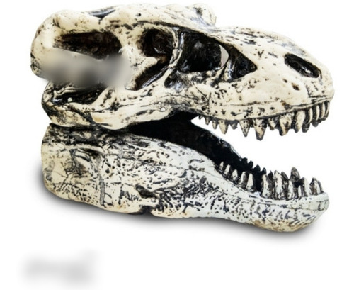 Cabeza Fósil De T-rex Pasta Y Resina